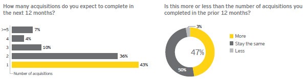 How many acquisitions do you expect to complete in the next 12 months